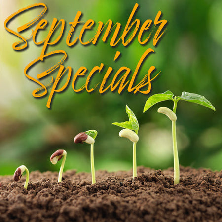 September Specials