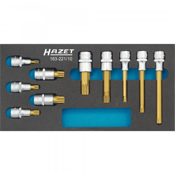 Hazet 10 Pce Screwdriver Socket Set 163-221/10 Modular Insert Tray