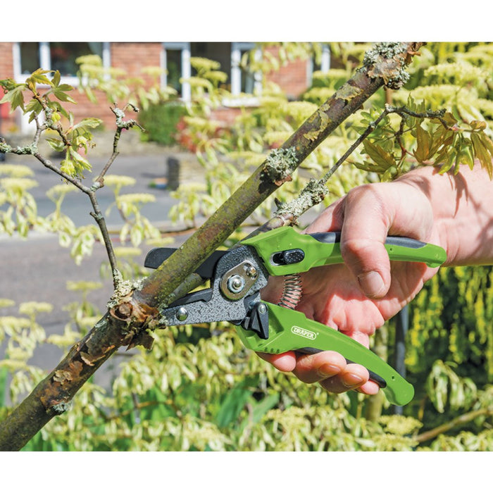Draper Tools Soft Grip Anvil Pattern Secateurs (200mm)