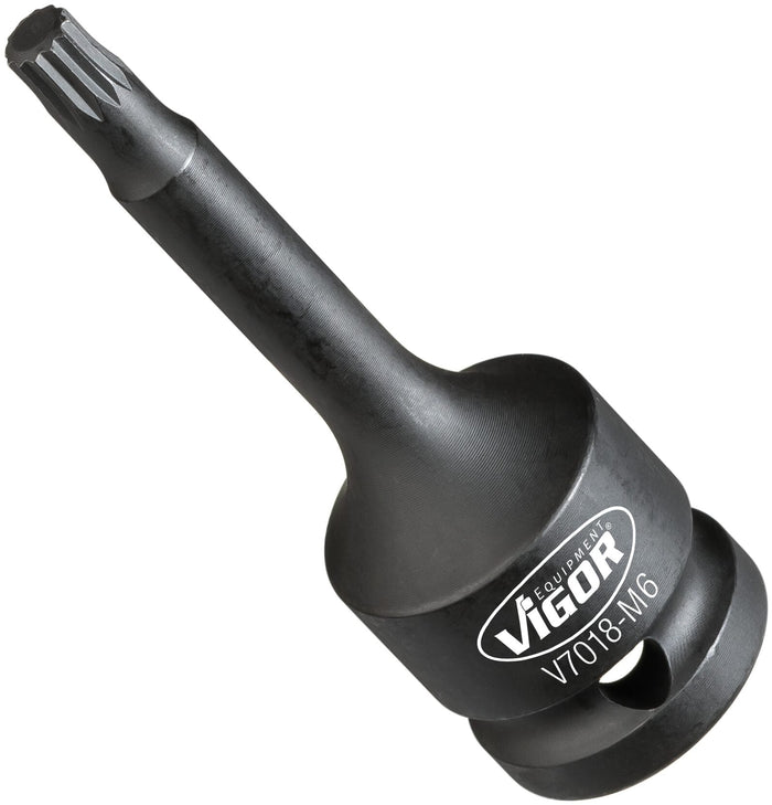 Vigor 1/2