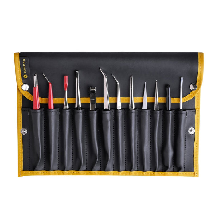 Bernstein Tweezer Set, 12-Pieces