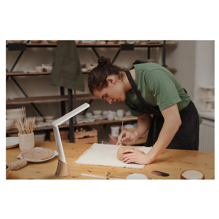 Daylight Smart GO Lamp