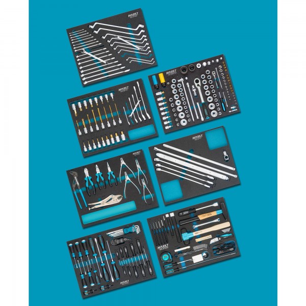 Hazet 242 Pce Standard Assortment For VW Audi 0-2500-163/242