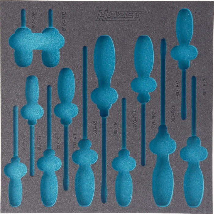 Hazet 2-Component Soft Foam Insert 163-100L