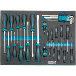 Hazet 31 Pce Screwdriver Set 163-141/31 Modular Insert Tray