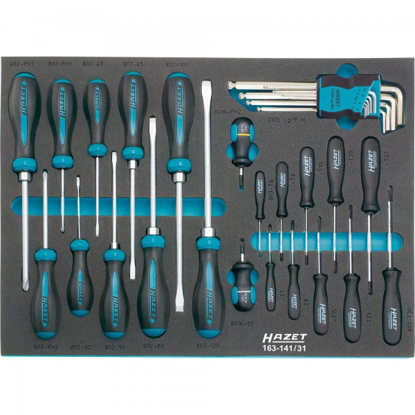 Hazet 31 Pce Screwdriver Set 163-141/31 Modular Insert Tray