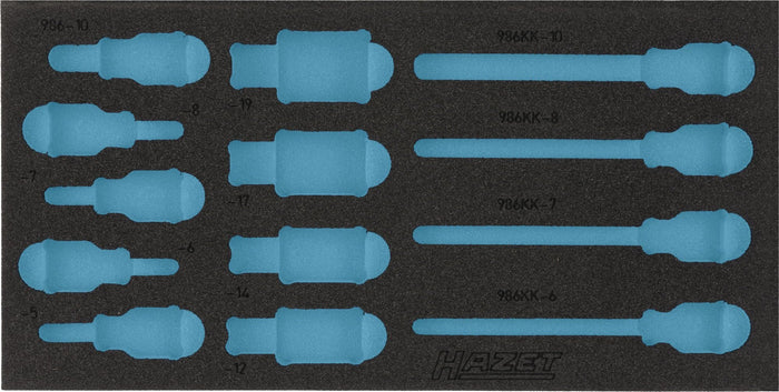 Hazet 2-Component Soft Foam Insert 163-220L