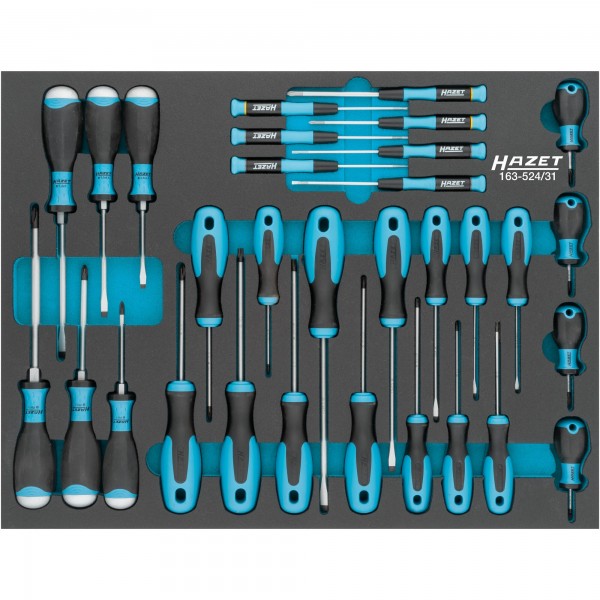 Hazet 31Pce Screwdriver Set 163-524/31 Modular Insert Tray