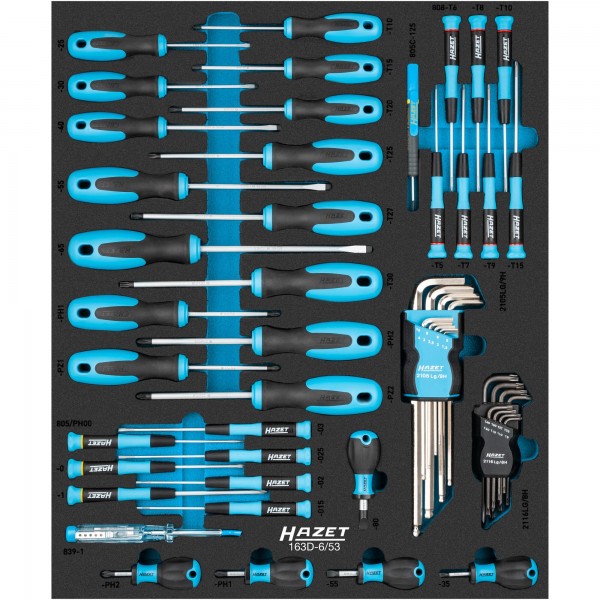 Hazet 53Pce Screwdriver Set 163D-6/53 Modular Insert Tray