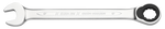 Elora Combination Spanner with Ring Ratchet 204-17mm
