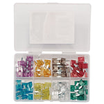 Draper Tools Mini Automotive Plug-In Fuse Assortment (100 Piece)