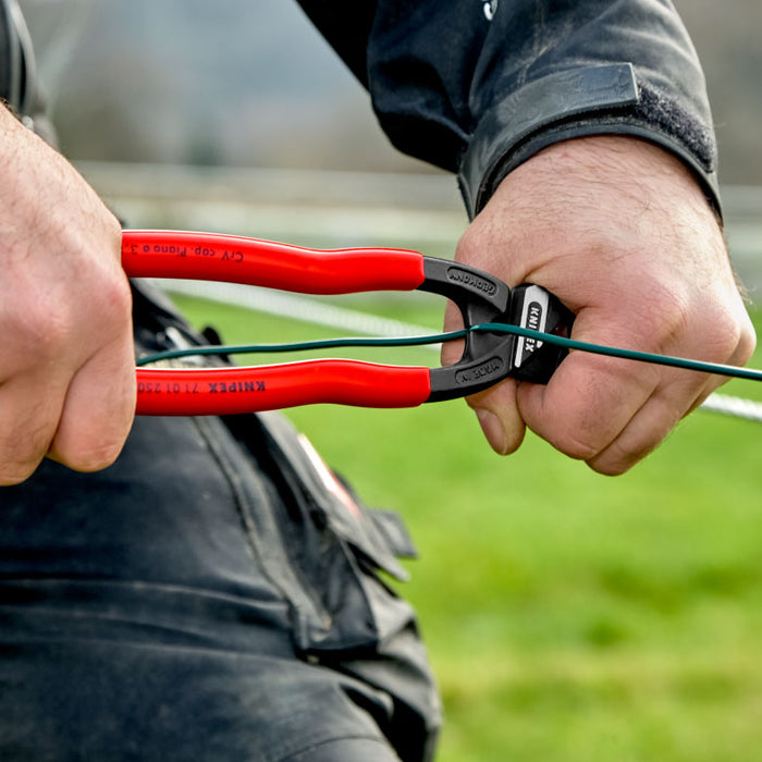 Knipex Compact Bolt Cutter 250mm