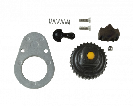 Elora 770-LE1F Reversible Ratchet Repair Kit