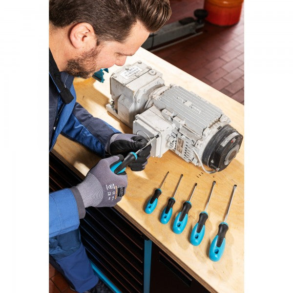 Hazet 6 Piece PH & SL Screwdriver Set 810/6