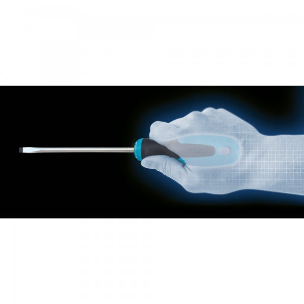 Hazet 6 Pce Torx Screwdriver Set 810T/6