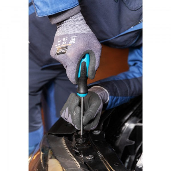 Hazet 6 Pce Torx Screwdriver Set 810T/6