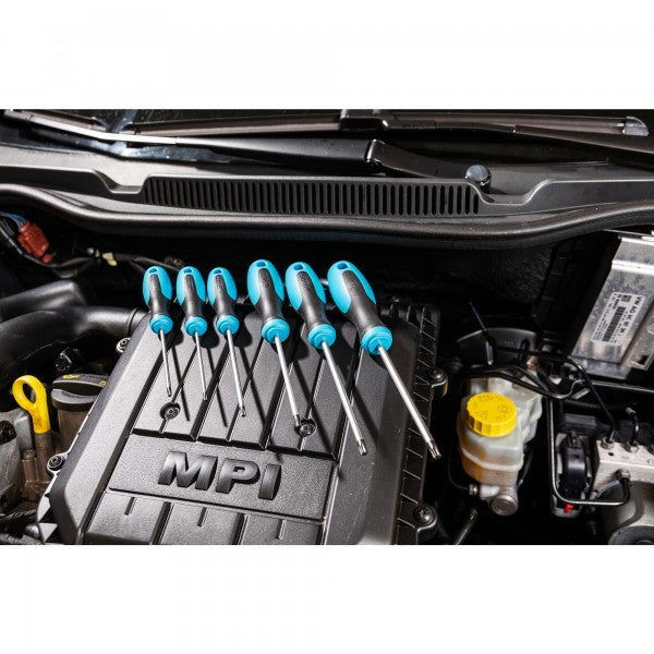 Hazet 6 Pce Torx Screwdriver Set 810T/6