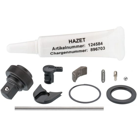 Hazet Replacement Set For Ratchet Wheel 863HP/11
