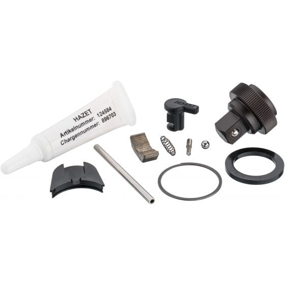 Hazet Replacement Set For Ratchet Wheel 8816HP/11