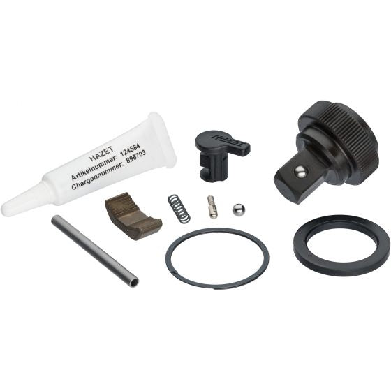 Hazet Replacement Set For Ratchet Wheel 916HP/10