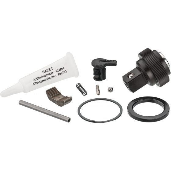 Hazet Replacement Set For Ratchet Wheel With Safety Lock 916HPS/10