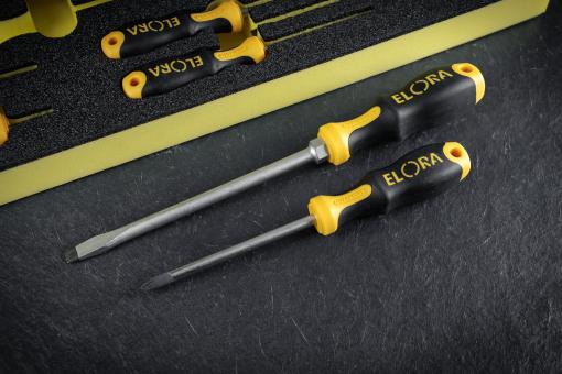 Elora Module-QUATROLIT® 2C Screwdriver Set, 10 Pce OMS-36
