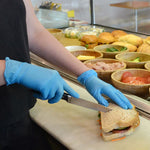 PROVAL Foodie Blues Duo PF Vinyl / Nitrile Blend Glove - Medium