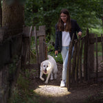 Ledlenser P5 Core 150lm Flashlight