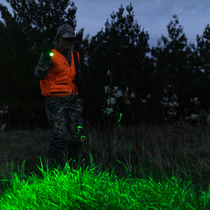 Ledlenser P6R Core QC 270lm Multicolour LED Green Blue Red White Flashlight