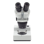 Deluxe Stereo Microscope With Light 10x-30x