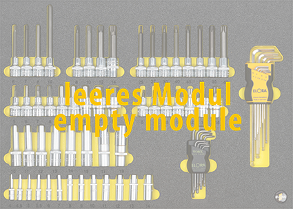 Elora Empty Module OMS-52L