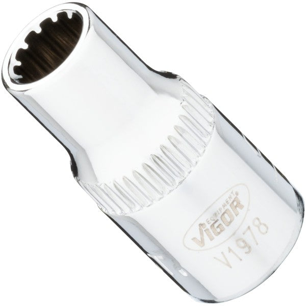 Vigor V1978 Socket with Multi-Purpose Profile Size 5.5 mm