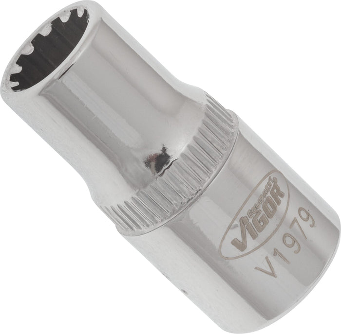 Vigor 1/4in Drive 6mm Socket with Multi-Purpose Profile V1979