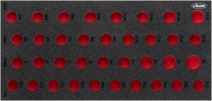 Vigor Soft Foam Insert - Empty V5099-L