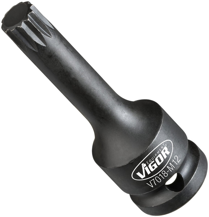 Vigor 1/2