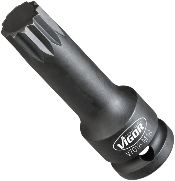 Vigor 1/2