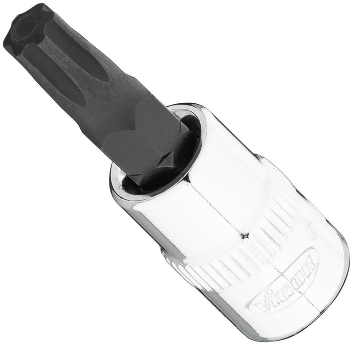 Vigor Torx Plus 1/4