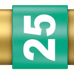 Wera 867/1 BiTorsion Diamond Coated TorxÂ® Bits TX20x25mm 066104