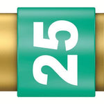 Wera 867/1 BiTorsion Diamond Coated TorxÂ® Bits TX25x25mm 066106