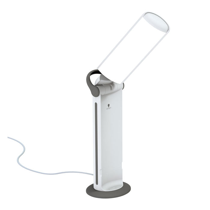 Daylight Twist 2 Lamp