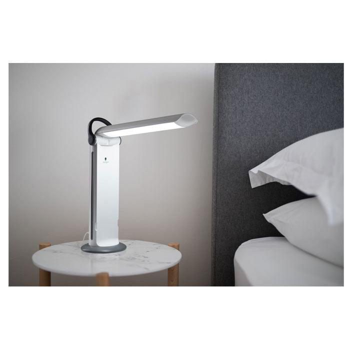Daylight Twist 2 Lamp