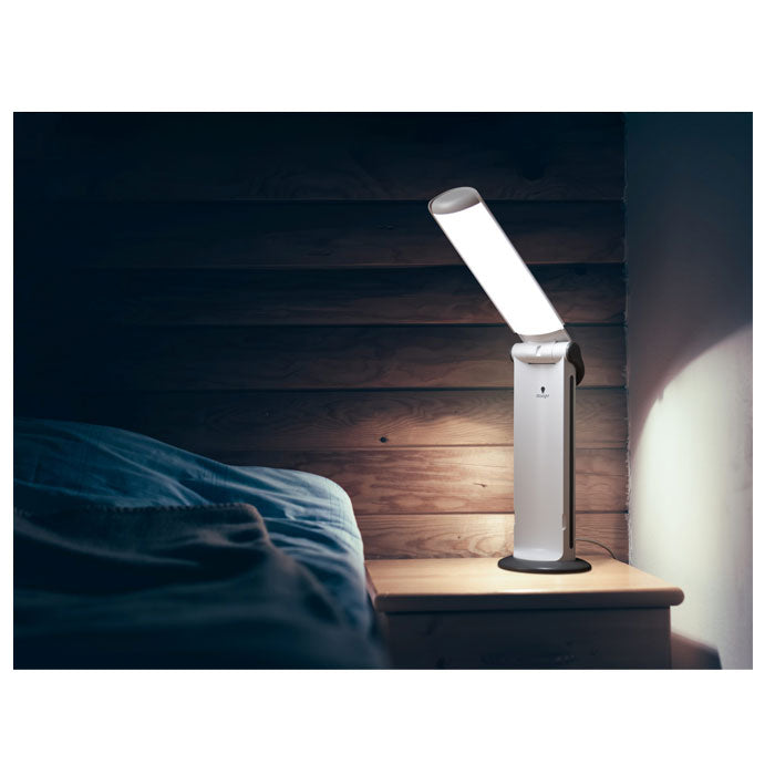 Daylight Twist 2 Lamp