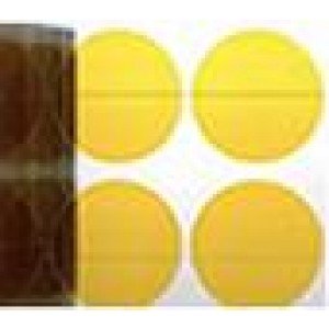 Argon Kapton Polyimide Discs 13/16