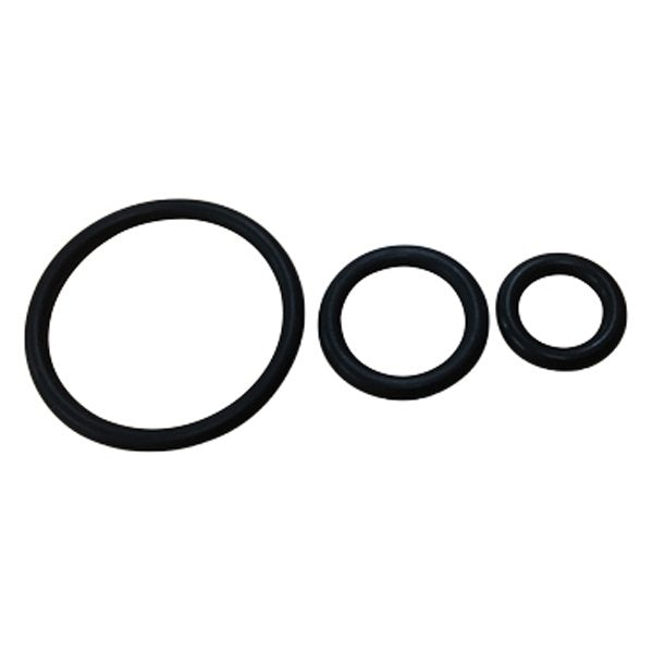 Edsyn O-Ring Set for Valve Assembly (Set of 3)